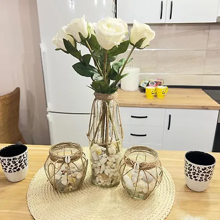 Aero Fly Daire Belgrad