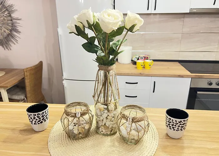 Aero Fly Appartement Belgrade